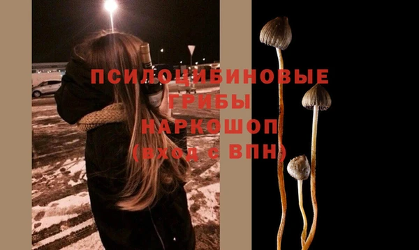 стаф Горнозаводск
