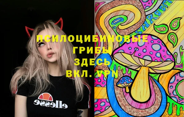 стаф Горнозаводск