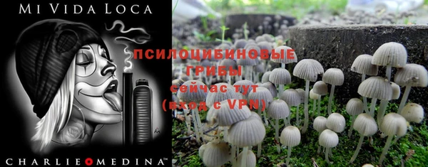 стаф Горнозаводск