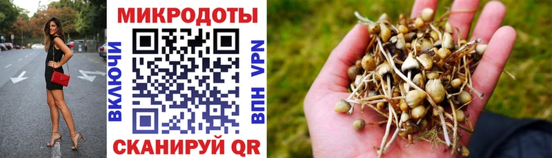Купить где  Кинешма  Псилоцибиновые грибы Psilocybine cubensis 